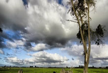 欧博:亚洲红土第一馆正式启用,阿加西、格拉芙空降湖州!.