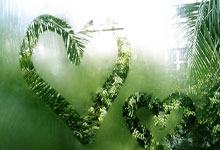 连续两盘抢七!19岁门希克2-0击败偶像德约,斩获生涯巡回赛首冠.