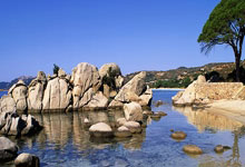 欧博：[球之夜]张玉宁：梦想还在延续.